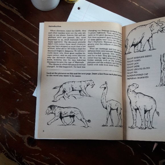 Prehistoric Animals Activity Book | homeschool - Picture 3 of 5